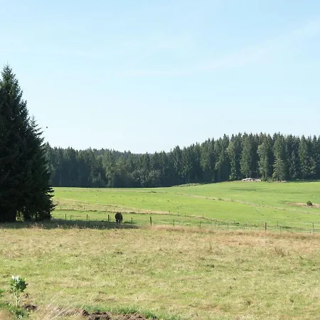 Near The Klingenthal *