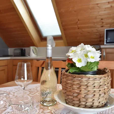 Holiday home Near The Klingenthal